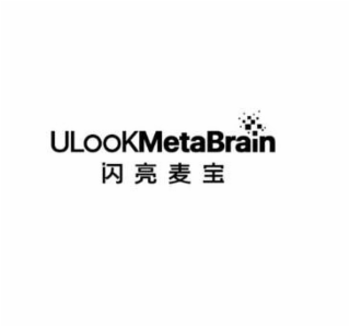 ULOOKMETABRAIN logo
