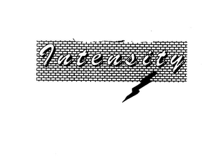 ULTIMATE INTENSITY logo