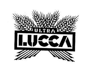ULTRA LUCCA logo