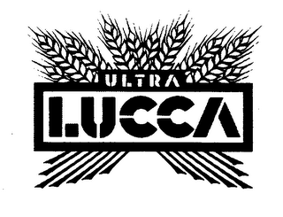 ULTRA LUCCA logo