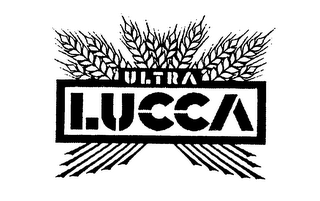 ULTRA LUCCA