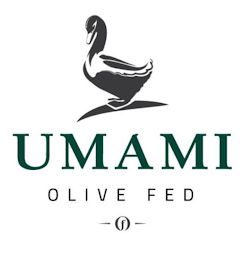 UMAMI OLIVE FED F logo