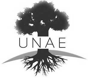 UNAE logo