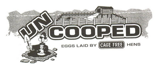 UNCOOPED EGGS LAID BY CAGE FREE HENS logo