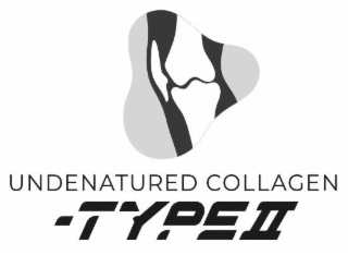 UNDENATURED COLLAGEN TYPE II logo