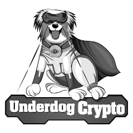 UNDERDOG CRYPTO logo