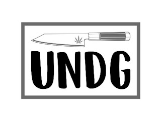UNDG logo