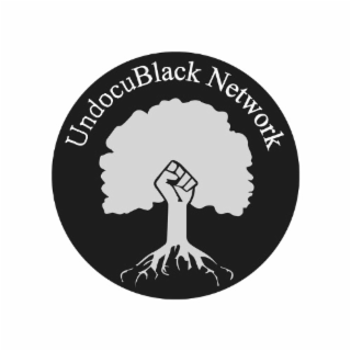 UNDOCUBLACK NETWORK logo