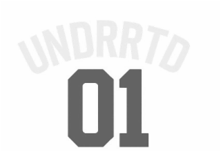 UNDRRTD 01 logo