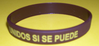 UNIDOS SI SE PUEDE logo