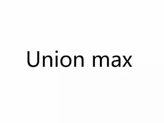 UNION MAX logo
