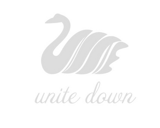 UNITE DOWN logo