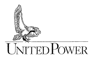 UNITED POWER logo