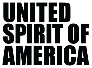 UNITED SPIRIT OF AMERICA logo