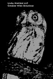 UNITY MEDICAL LLC CREATES WISE SOLUTIONS logo