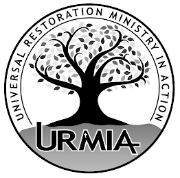 UNIVERSAL RESTORATION MINISTRY IN ACTION URMIA logo
