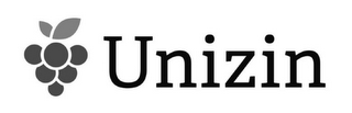 UNIZIN logo