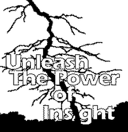 UNLEASH THE POWER OF INSIGHT logo
