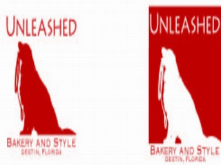 UNLEASHED BAKERY AND STYLE DESTIN, FLORIDA logo