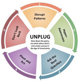 UNPLUG SLOW DOWN THE GAME, SEE WHAT OTHERS DON'T AND CREATE SUCCESS IN THE AGE OF UNCERTAINTY 1 DISRUPT PATTERNS 2 HYPER-AWARENESS 3 ASK THE NEXT QUESTION 4 PIVOT 5 ACT DON'T LOOK BACK logo