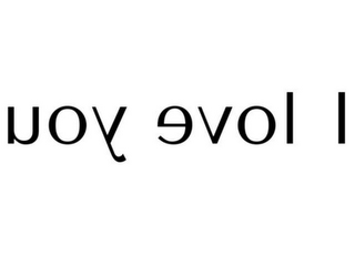 UOY EVOL I logo