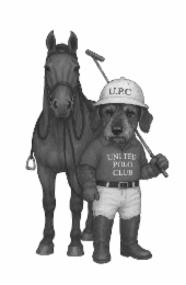 U.P.C UNITED POLO CLUB logo