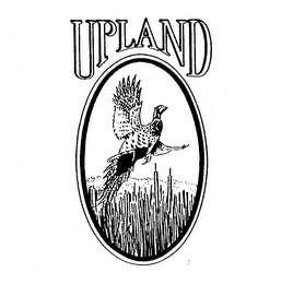 UPLAND logo
