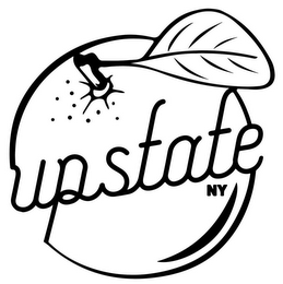 UPSTATE NY logo