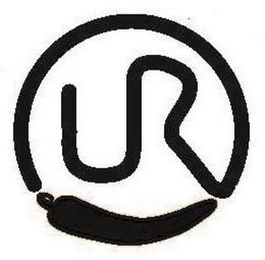 UR logo
