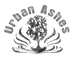 URBAN ASHES logo