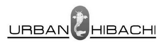 URBAN HIBACHI logo
