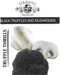 URBANI TRUFFLES BLACK TRUFFLES AND MUSHROOMS TRUFFLE THRILLS logo