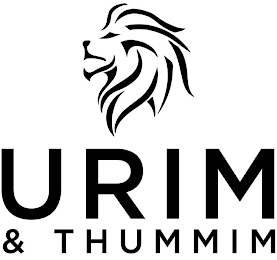 URIM & THUMMIM