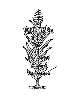 URL'S UPRIGHT LEAFED VARIEITIES logo
