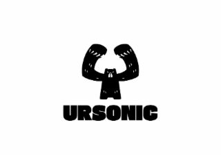 URSONIC logo