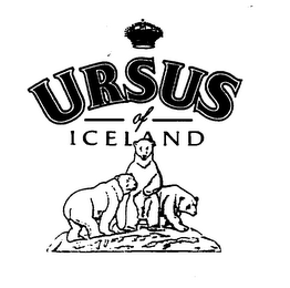 URSUS logo