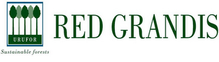 URUFOR SUSTAINABLE FORESTS RED GRANDIS logo