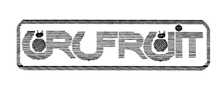 URUFRUIT logo
