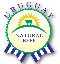 URUGUAY NATURAL BEEF logo