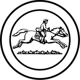 U.S. MAIL logo