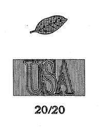 USA 20/20 logo