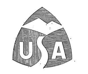 USA logo