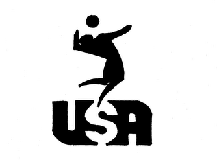 USA logo