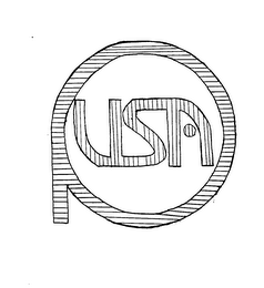 USA logo