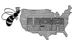 USA logo