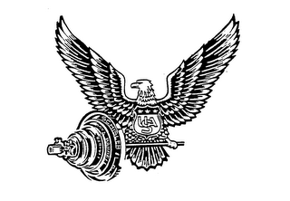 USA logo