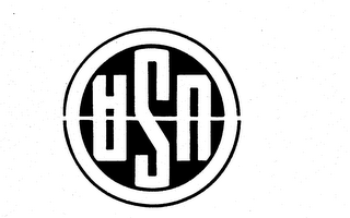 USA logo