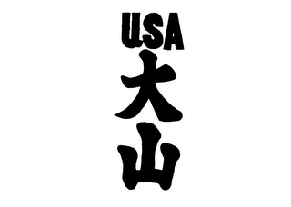 USA logo