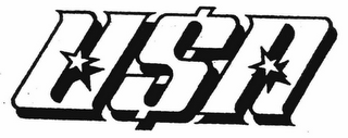 USA logo