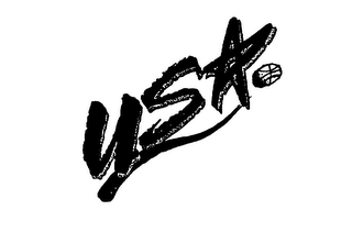 USA logo